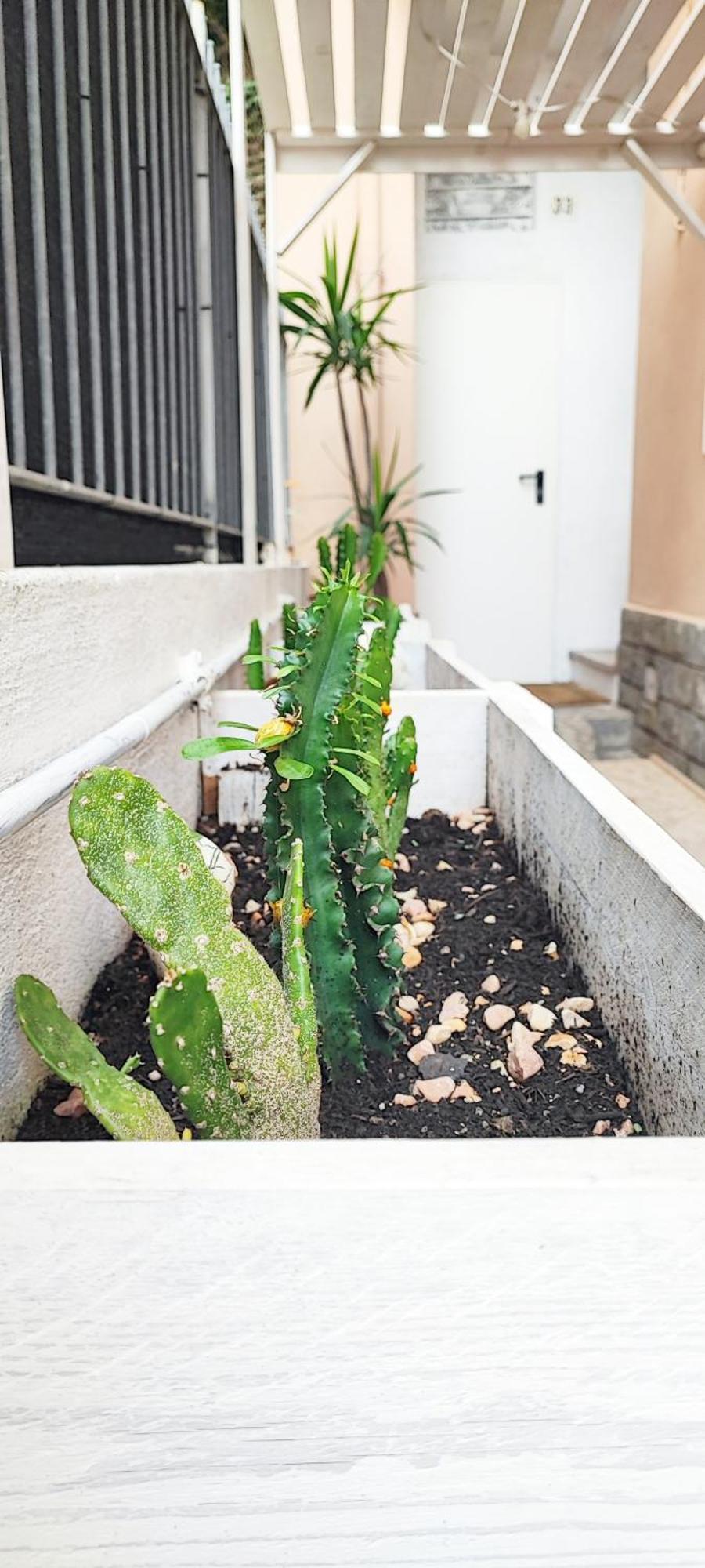 Apartmán Residenza Bibliososta Ventimiglia Exteriér fotografie