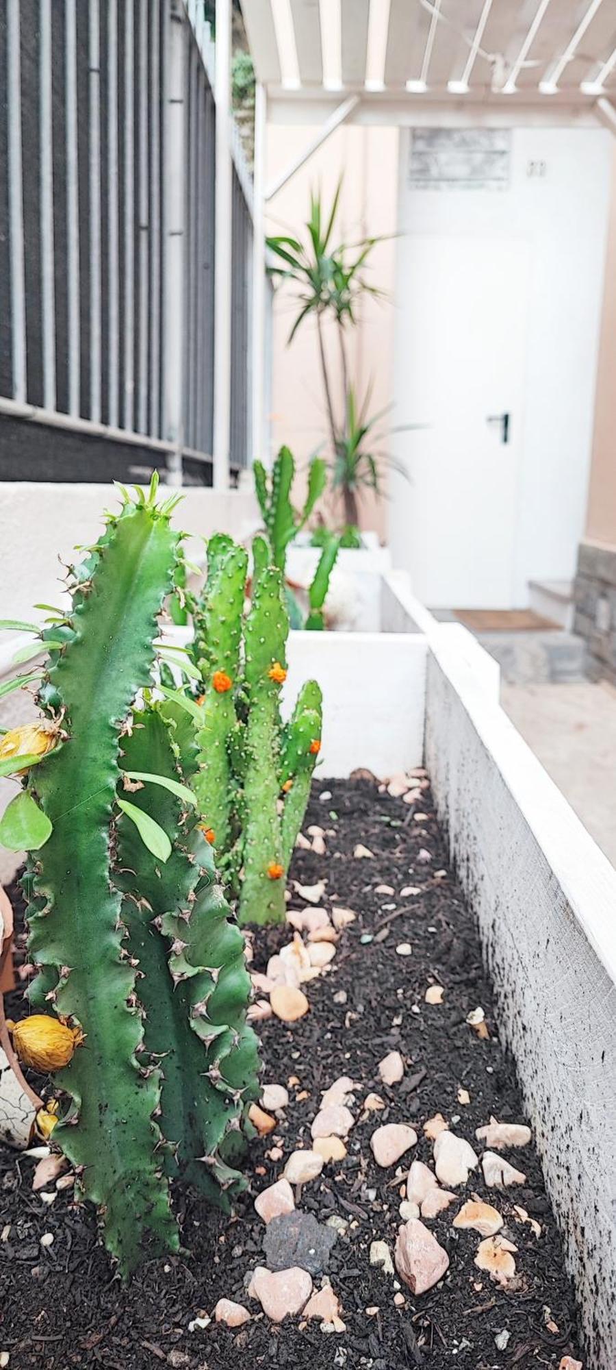Apartmán Residenza Bibliososta Ventimiglia Exteriér fotografie